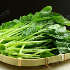 08. Шпинат 波菜